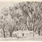 TAOS NM ADOBE WALL MOTEL ANTIQUE POSTCARD