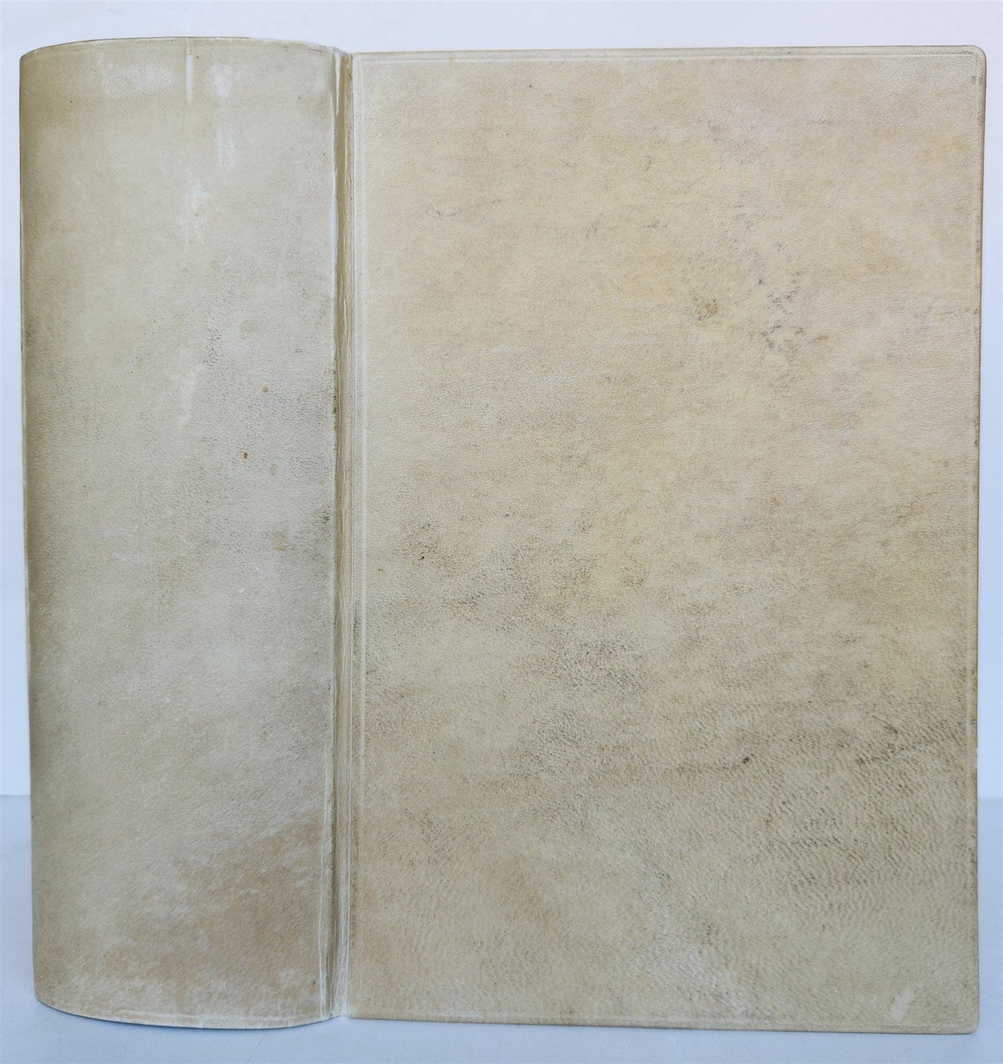 1690 BIBLE in LATIN FULLY ILLUSTRATED antique 17th CENTURY
