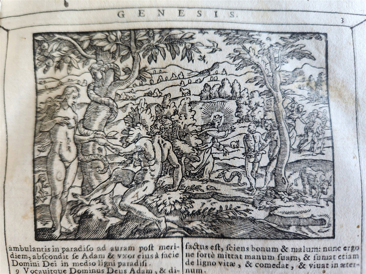 1690 BIBLE in LATIN FULLY ILLUSTRATED antique 17th CENTURY