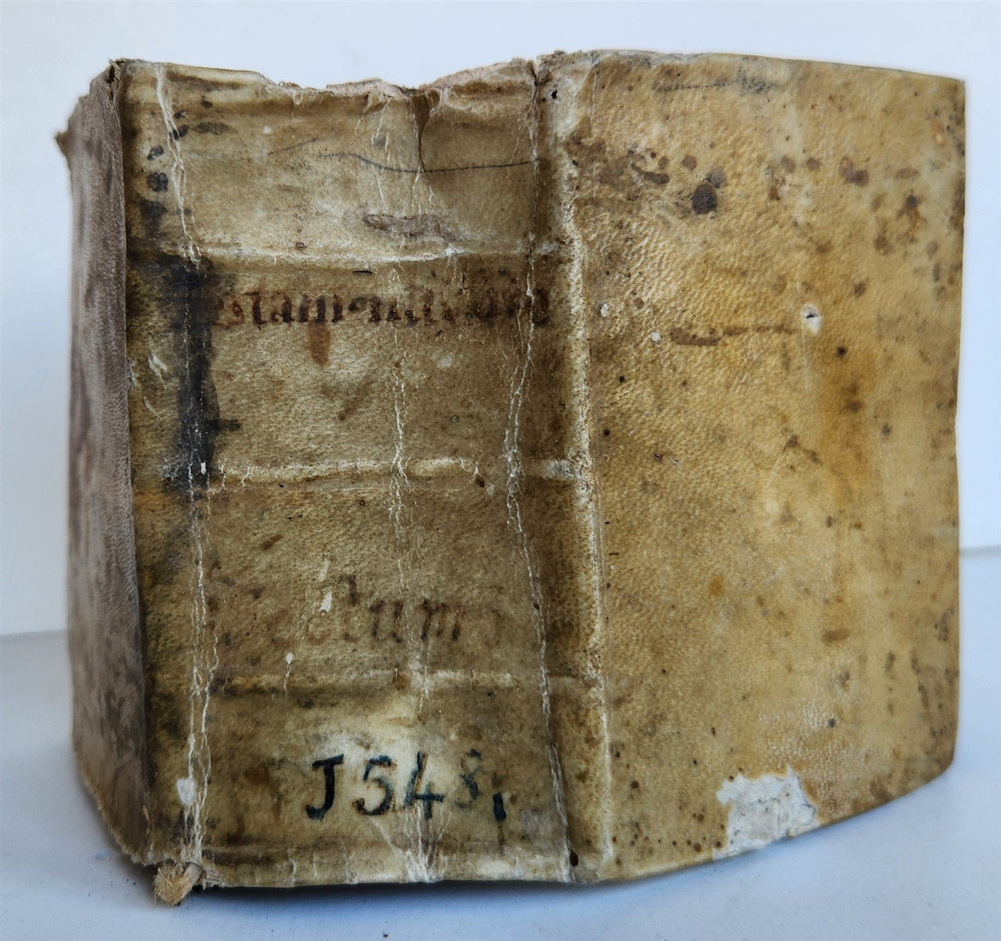 1548 BIBLE in LATIN ILLUSTRATED antique 16th CENTURY vellum TESTAMENTI NOUI