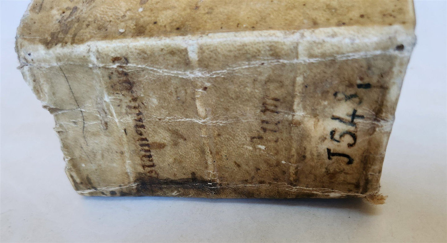 1548 BIBLE in LATIN ILLUSTRATED antique 16th CENTURY vellum TESTAMENTI NOUI