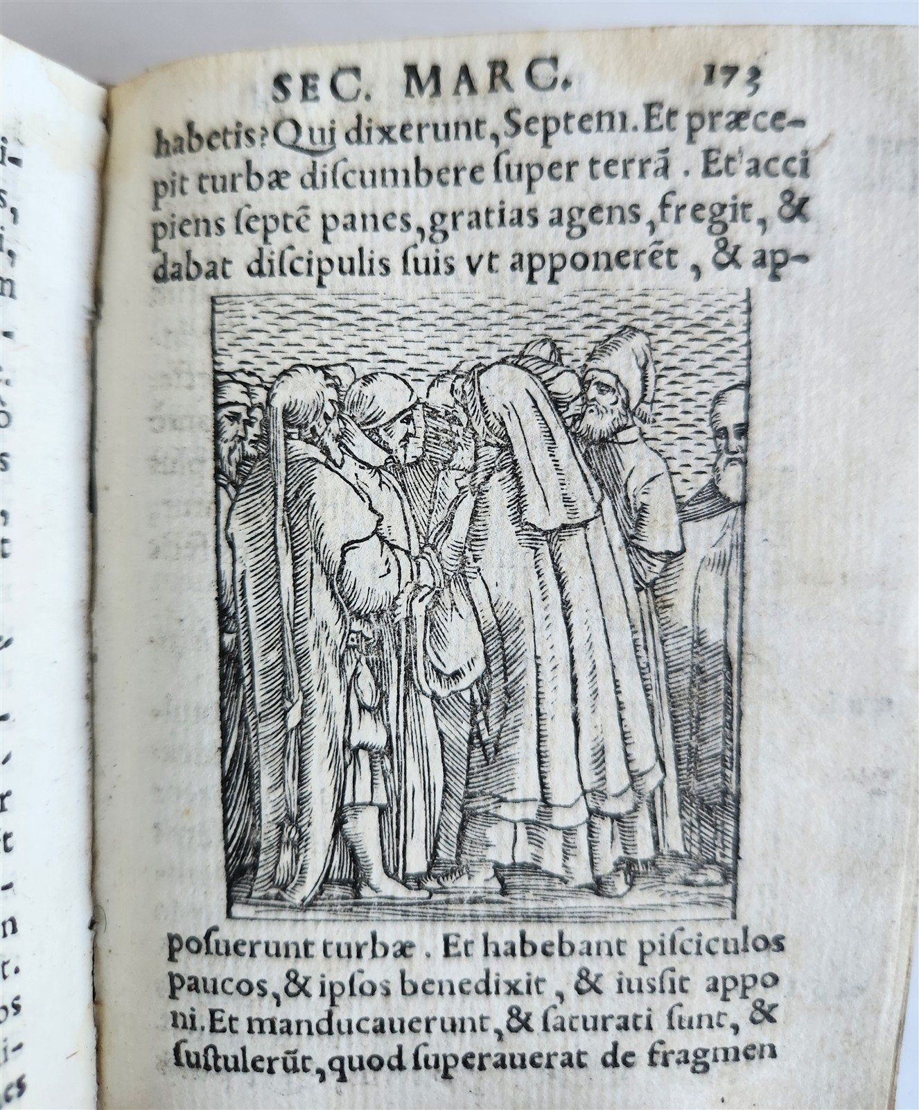 1548 BIBLE in LATIN ILLUSTRATED antique 16th CENTURY vellum TESTAMENTI NOUI
