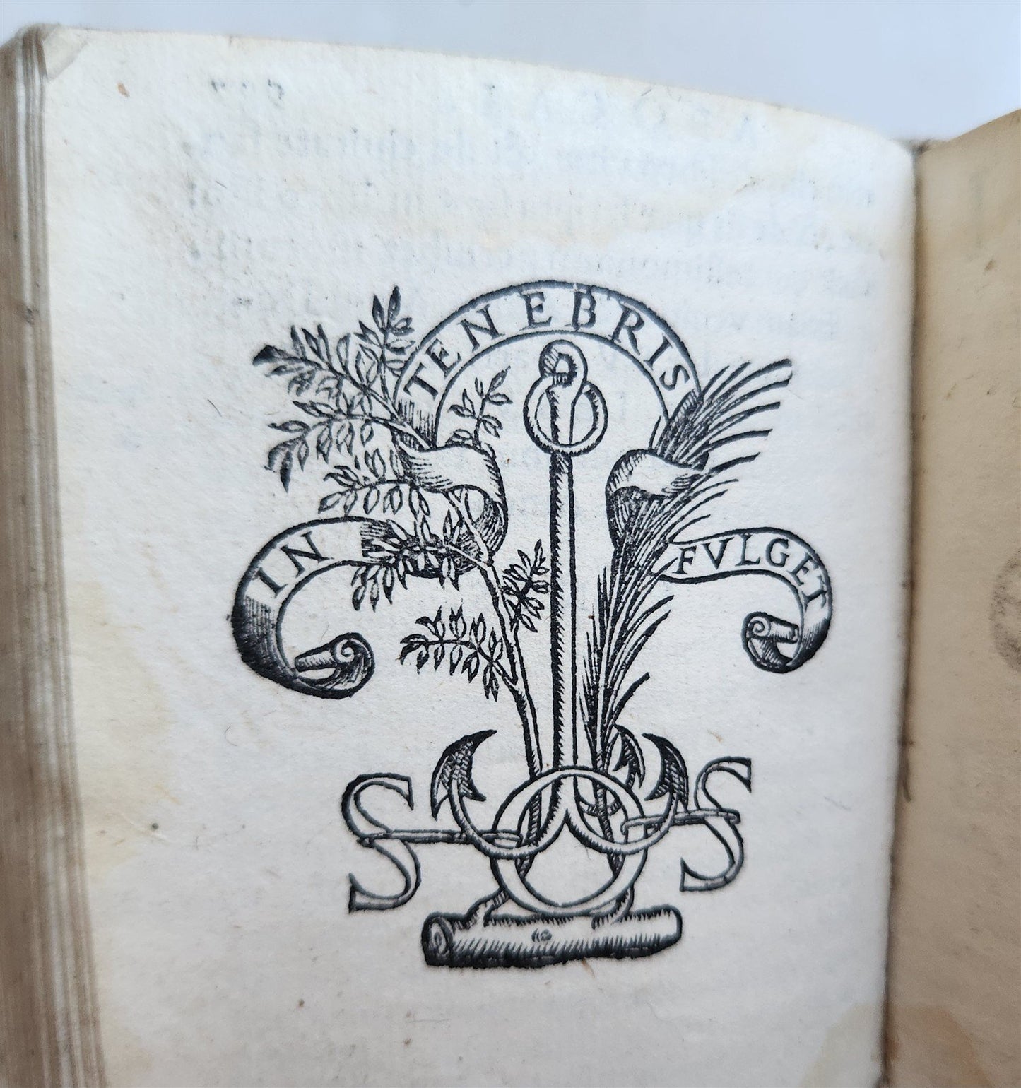 1548 BIBLE in LATIN ILLUSTRATED antique 16th CENTURY vellum TESTAMENTI NOUI