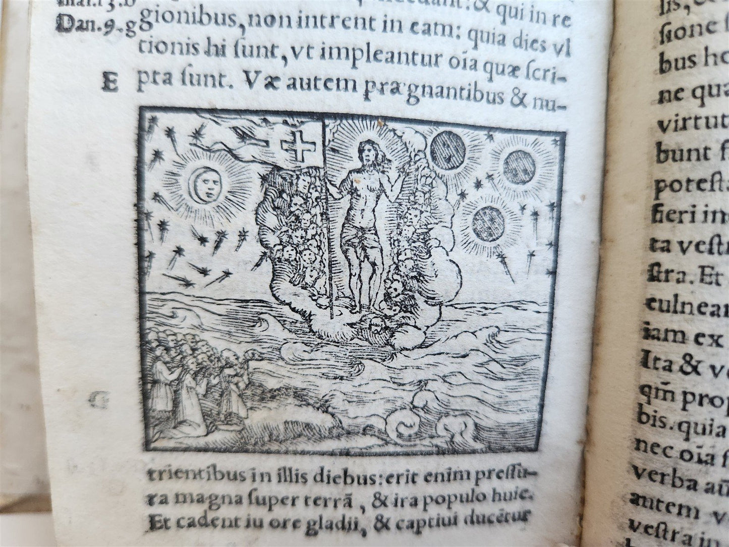 1548 BIBLE in LATIN ILLUSTRATED antique 16th CENTURY vellum TESTAMENTI NOUI