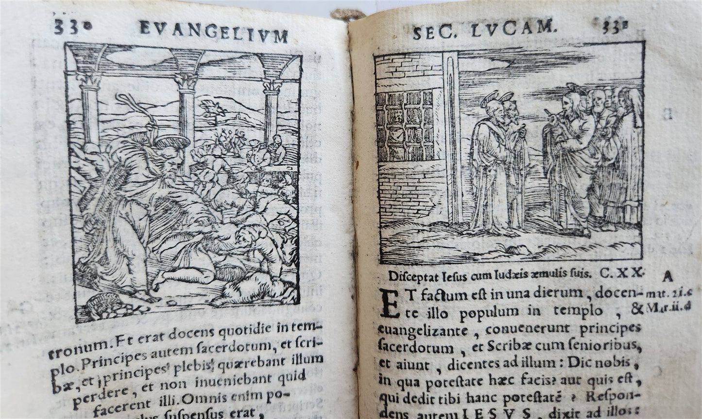 1548 BIBLE in LATIN ILLUSTRATED antique 16th CENTURY vellum TESTAMENTI NOUI