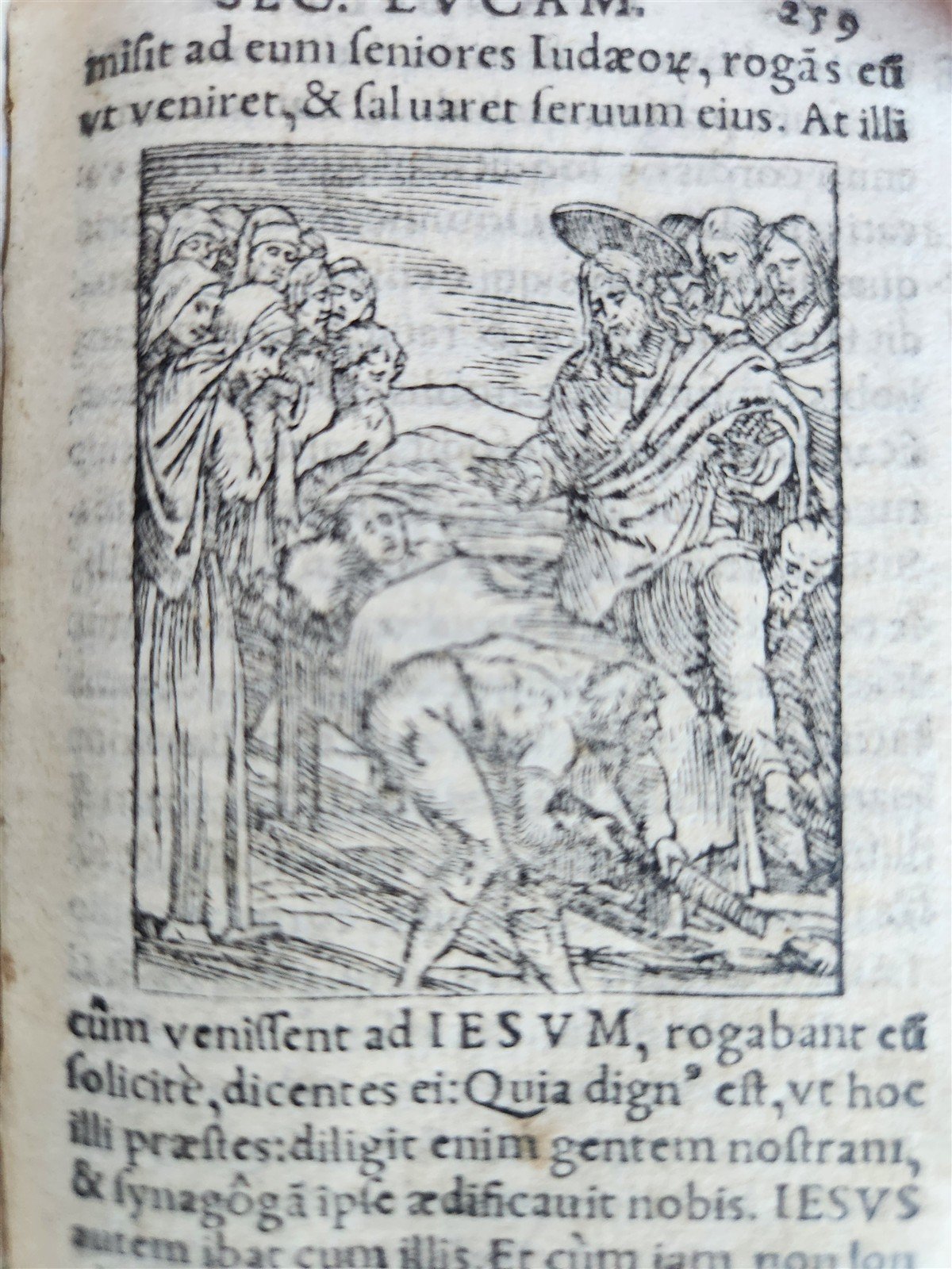 1548 BIBLE in LATIN ILLUSTRATED antique 16th CENTURY vellum TESTAMENTI NOUI