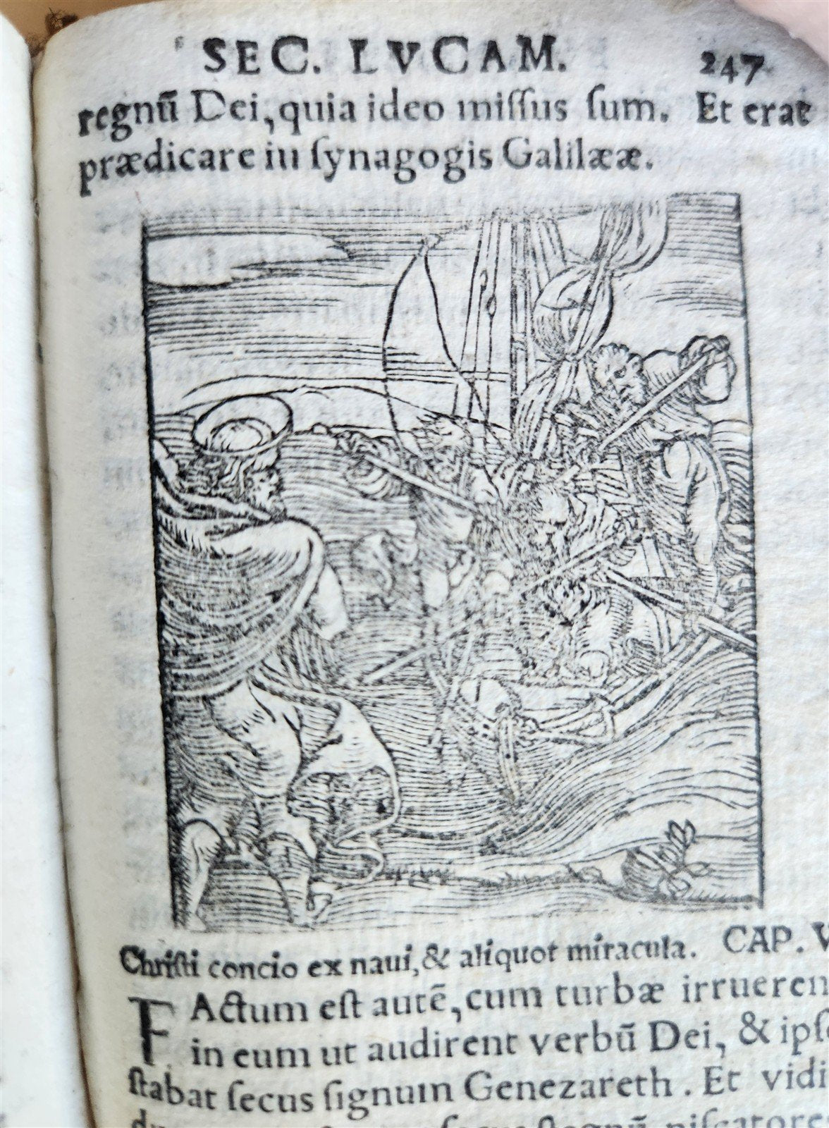 1548 BIBLE in LATIN ILLUSTRATED antique 16th CENTURY vellum TESTAMENTI NOUI