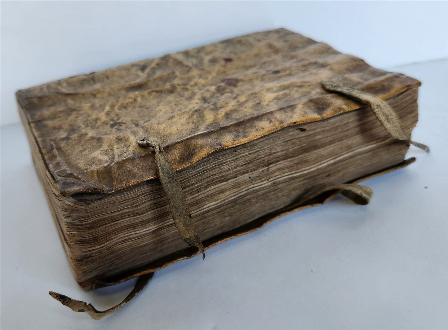 1582 TITE-LIVE PADOUAN 16th CENTURY HISTORY of PUNIC WARS antique VELLUM BOUND