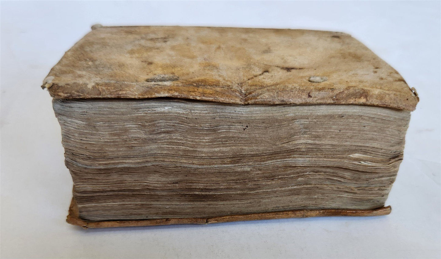 1585 ARISTOTLE WORKS INDEX Rerum Omnium quae in Aristotelis operibus ANTIQUE