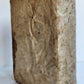 1543 MEDICAL TREATISE by Aetius Amidenus antique 16th CENTURY vellum bound