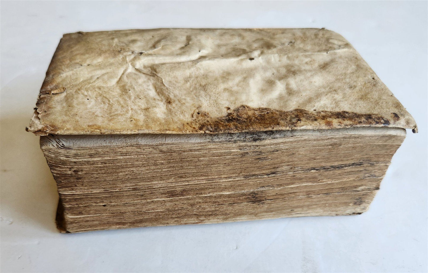 1543 MEDICAL TREATISE by Aetius Amidenus antique 16th CENTURY vellum bound