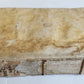1601 DE ARTE GYMNASTICA antique ILLUSTRATED first treatise on sports medicine