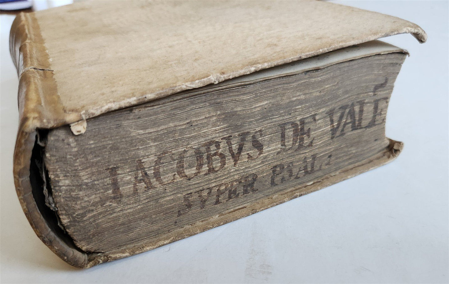 1574 Orthodoxa ac perdivina explanatio in Psalmos Davidicos antique 16th CENTURY