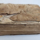 1538 POST-INCUNABULA LEGAL TREATISE antique 16th CENTURY rare