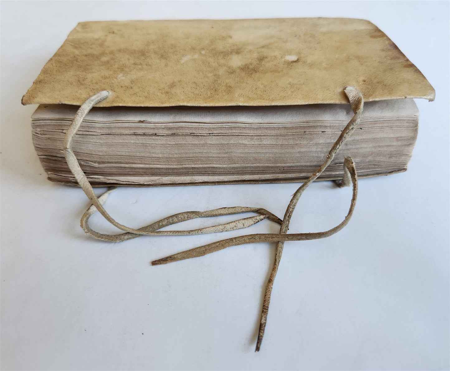 1602 ASTROLOGY TREATISE by Rantzau Henrik antique 17th CENTURY rare