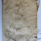 1602 ASTROLOGY TREATISE by Rantzau Henrik antique 17th CENTURY rare
