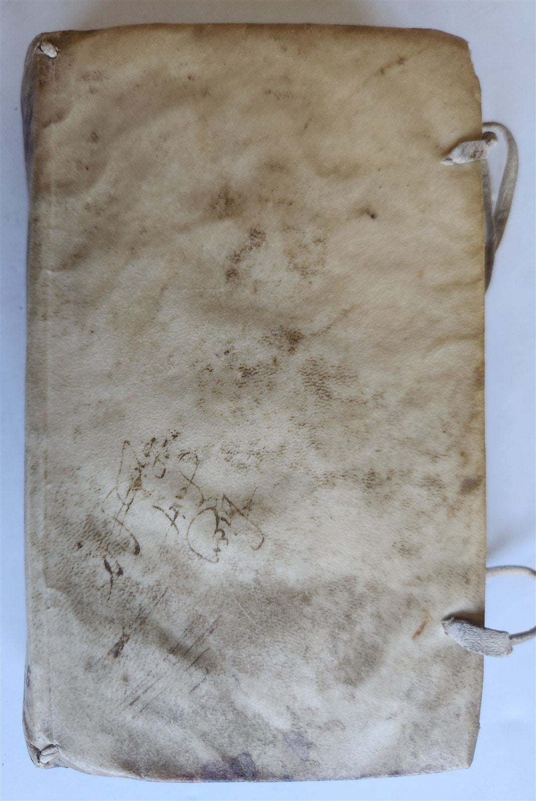 1602 ASTROLOGY TREATISE by Rantzau Henrik antique 17th CENTURY rare