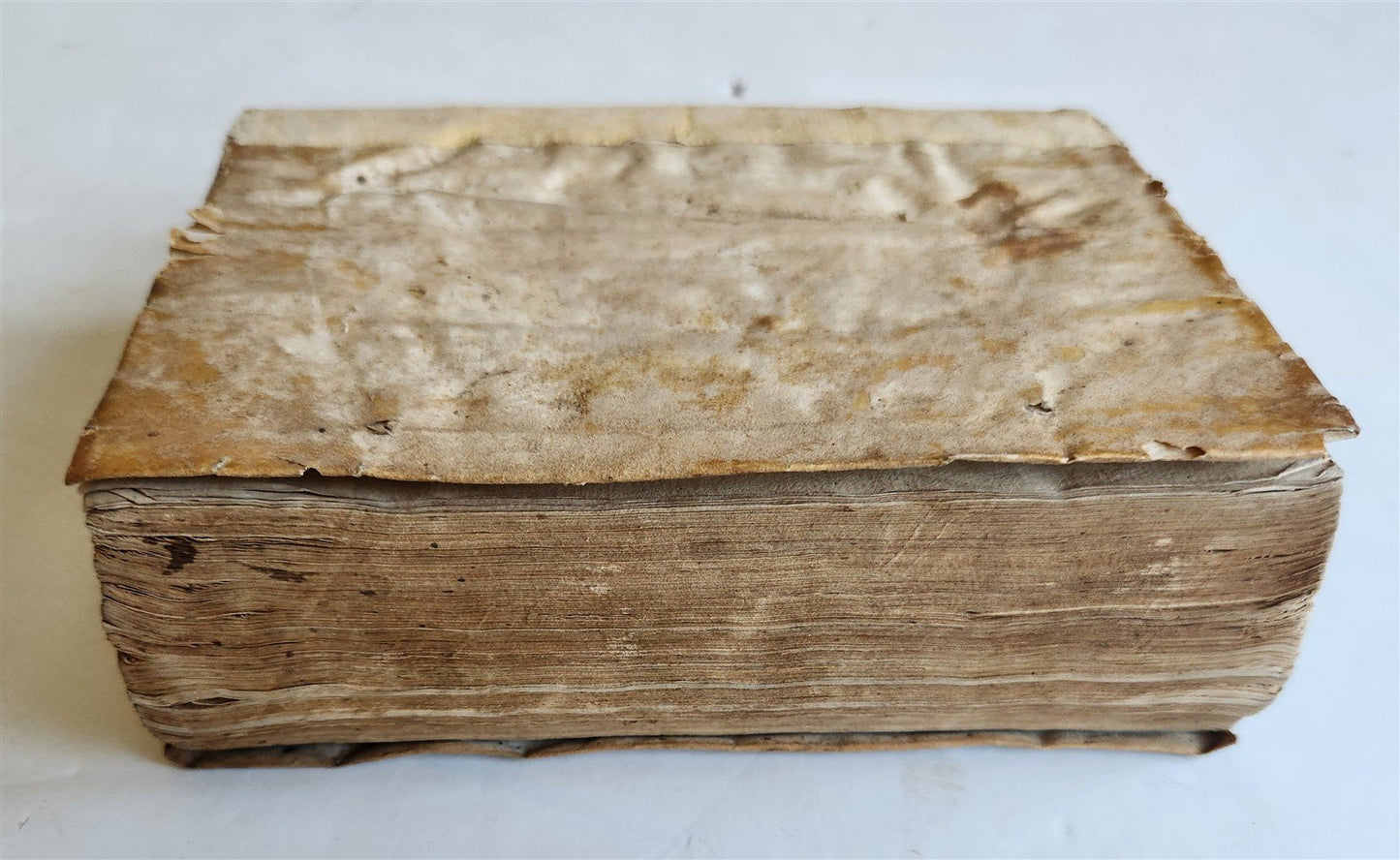 1548 LEGAL TREATISE antique PARIS DE PUTEO de syndicatu NAPLES LAW BOOK