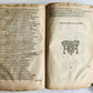 early 17th century ILLIADS of HOMER by GEORGE CHAPMAN antique in ENGLISH RARE