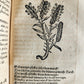 1568 RULES FOR PRESERVING GOOD HEALTH by ARNOLDUS VILANOVA ILLUSTRATED antique