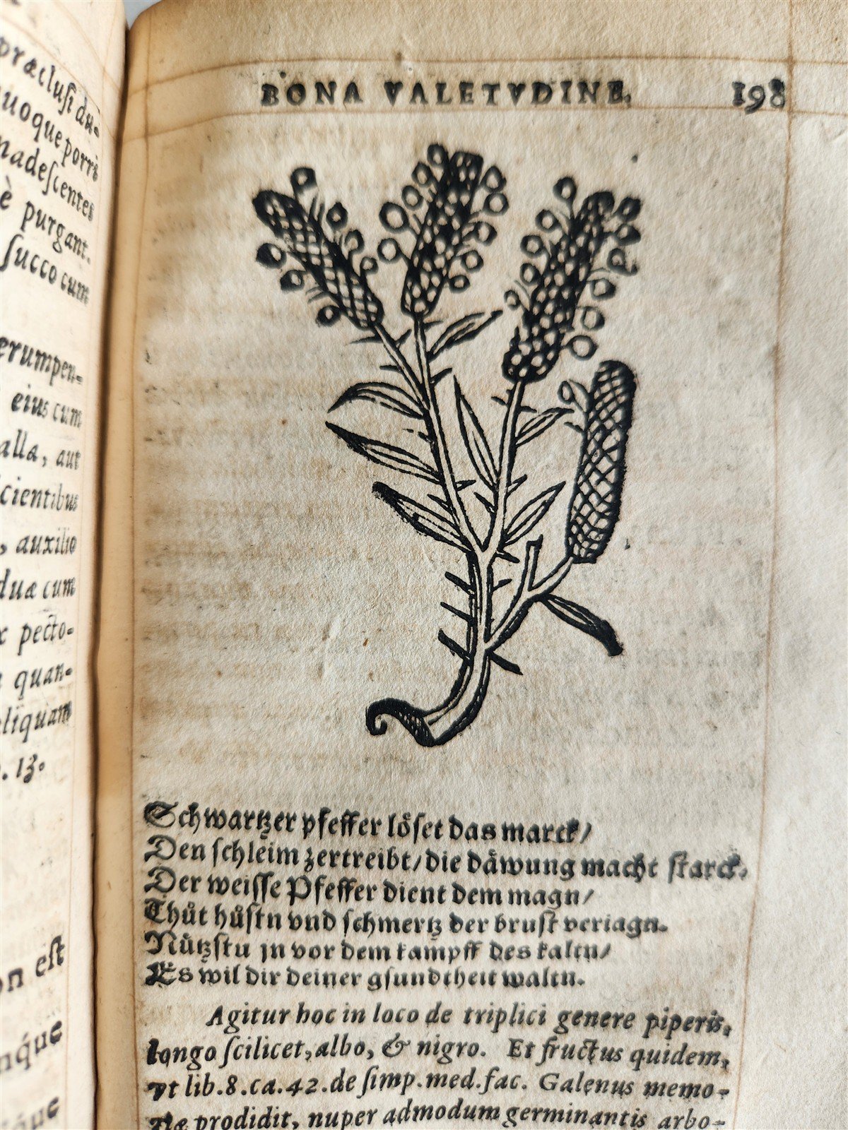 1568 RULES FOR PRESERVING GOOD HEALTH by ARNOLDUS VILANOVA ILLUSTRATED antique