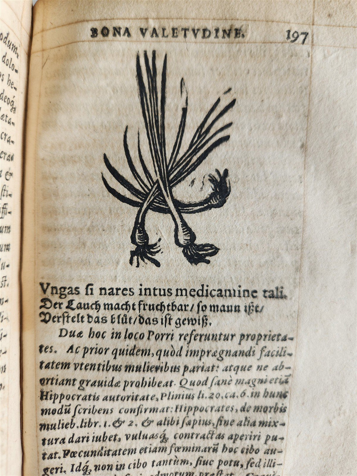 1568 RULES FOR PRESERVING GOOD HEALTH by ARNOLDUS VILANOVA ILLUSTRATED antique