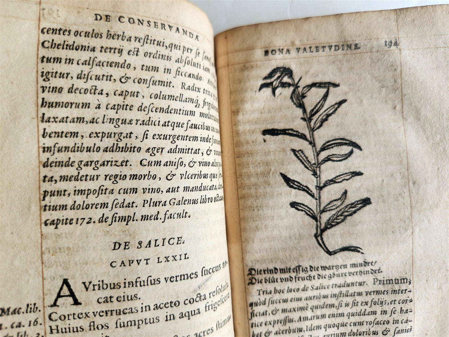 1568 RULES FOR PRESERVING GOOD HEALTH by ARNOLDUS VILANOVA ILLUSTRATED antique