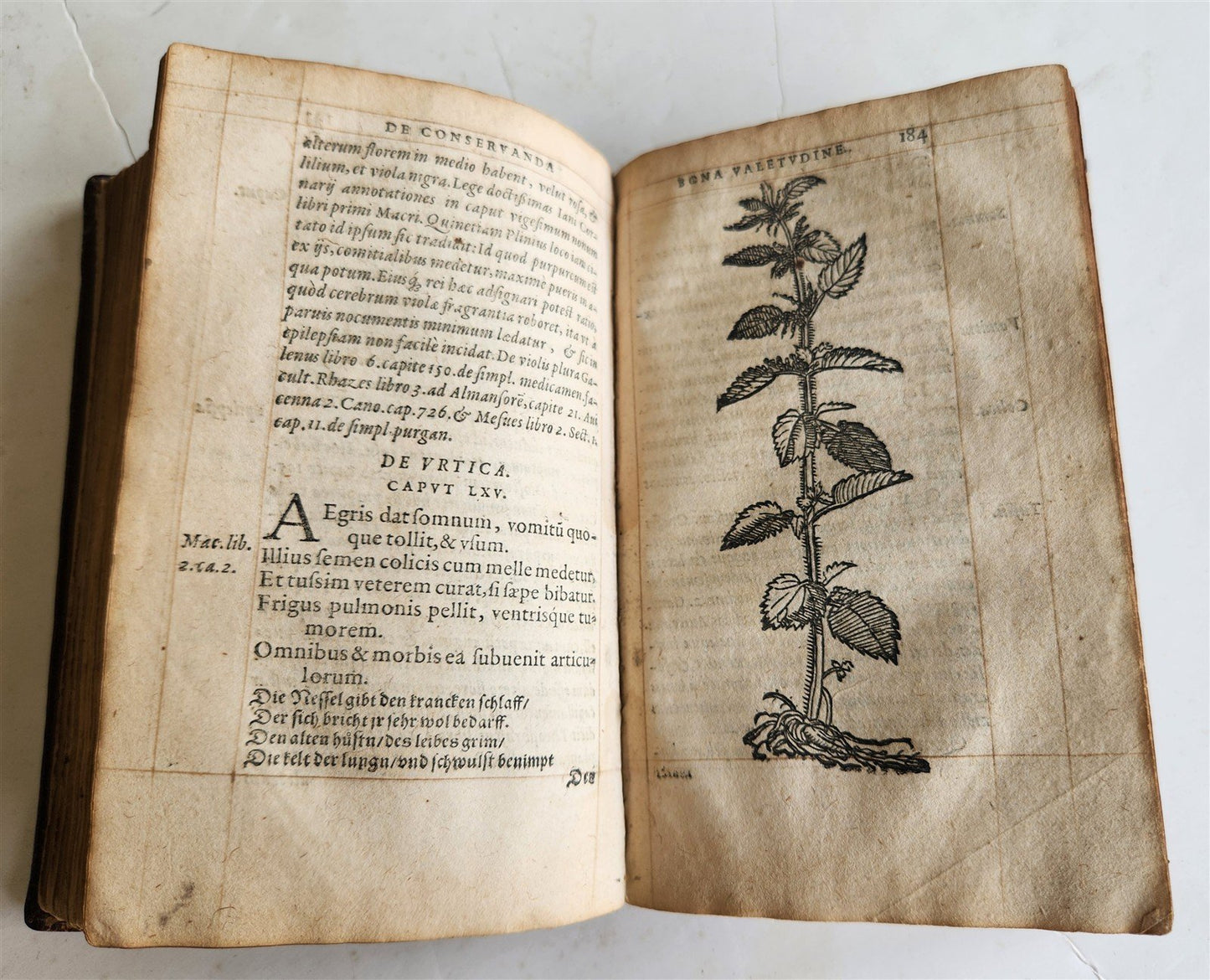 1568 RULES FOR PRESERVING GOOD HEALTH by ARNOLDUS VILANOVA ILLUSTRATED antique