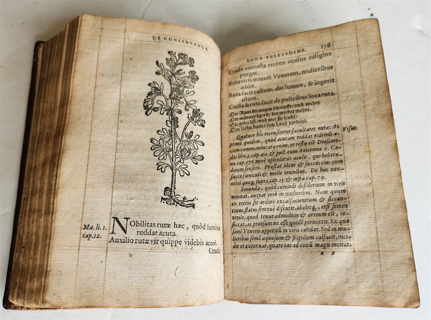 1568 RULES FOR PRESERVING GOOD HEALTH by ARNOLDUS VILANOVA ILLUSTRATED antique
