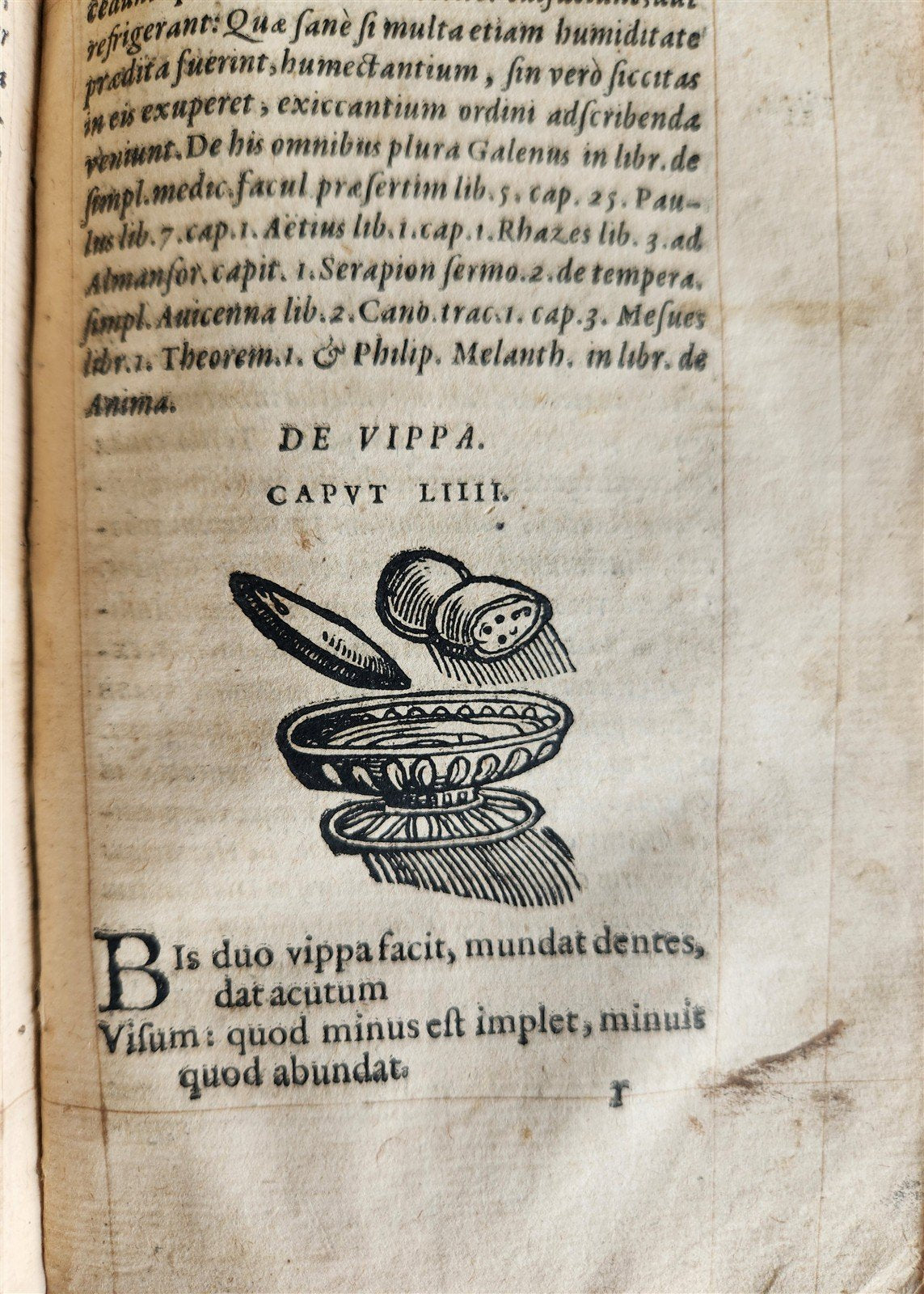 1568 RULES FOR PRESERVING GOOD HEALTH by ARNOLDUS VILANOVA ILLUSTRATED antique