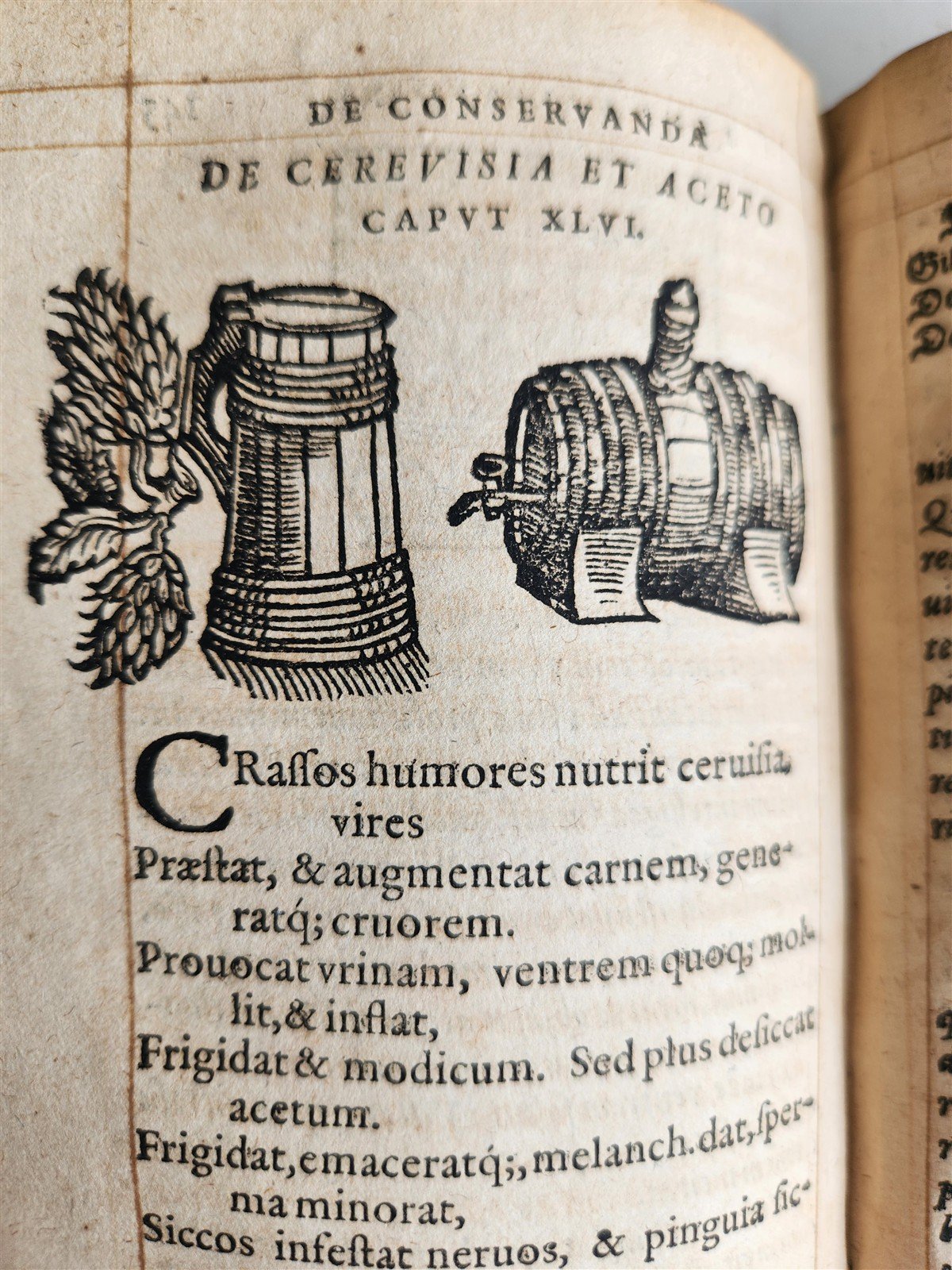 1568 RULES FOR PRESERVING GOOD HEALTH by ARNOLDUS VILANOVA ILLUSTRATED antique