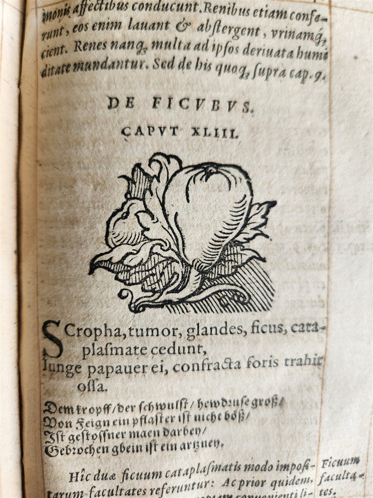 1568 RULES FOR PRESERVING GOOD HEALTH by ARNOLDUS VILANOVA ILLUSTRATED antique