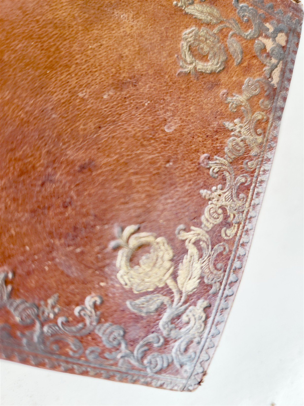 1727 AUSTRIAN IMPERIAL HOUSE PROVENANCE antique Rhetorum liber dramaticus