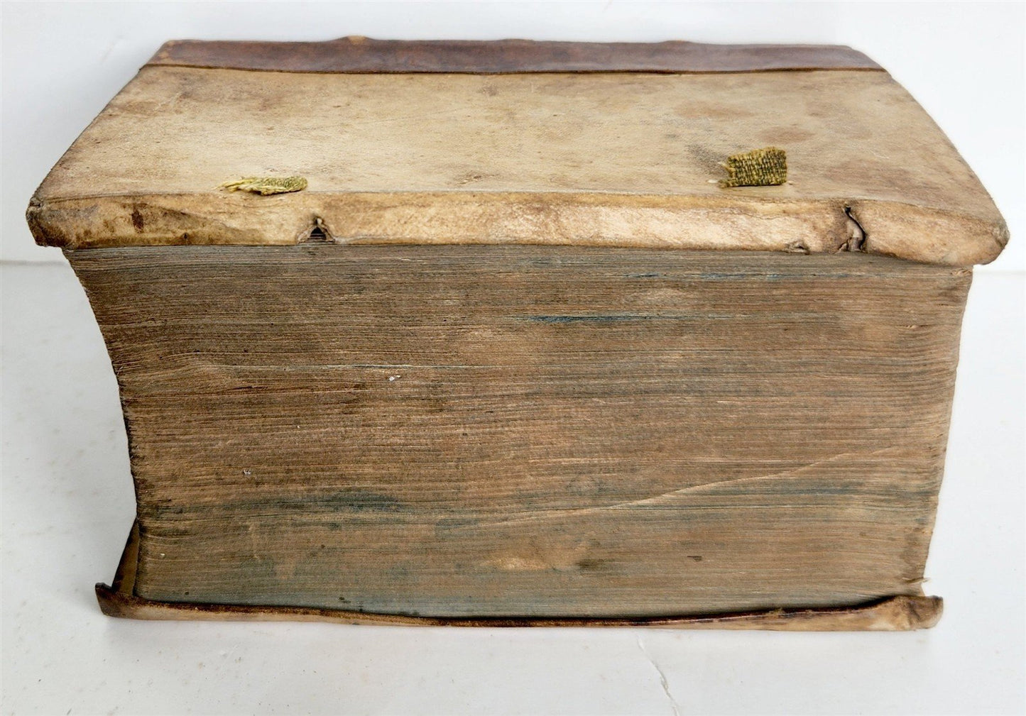 1587 LAW BOOK in LATIN antique LEGAL TREATISE by Ubertino Zuccardi