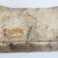 1591 SERMONS in GERMAN antique VELLUM BOUND