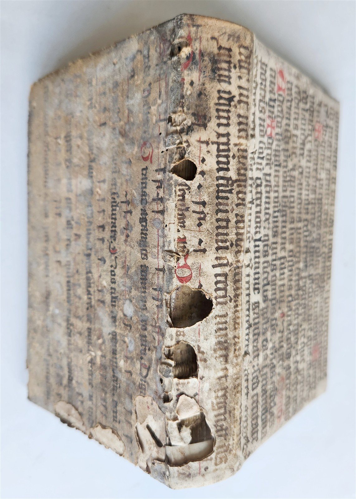 1598 COMEDIES of TERENCE ILLUSTRATED by AMMAN antique VELLUM MANUSCRIPT BINDING