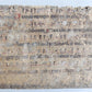 1598 COMEDIES of TERENCE ILLUSTRATED by AMMAN antique VELLUM MANUSCRIPT BINDING
