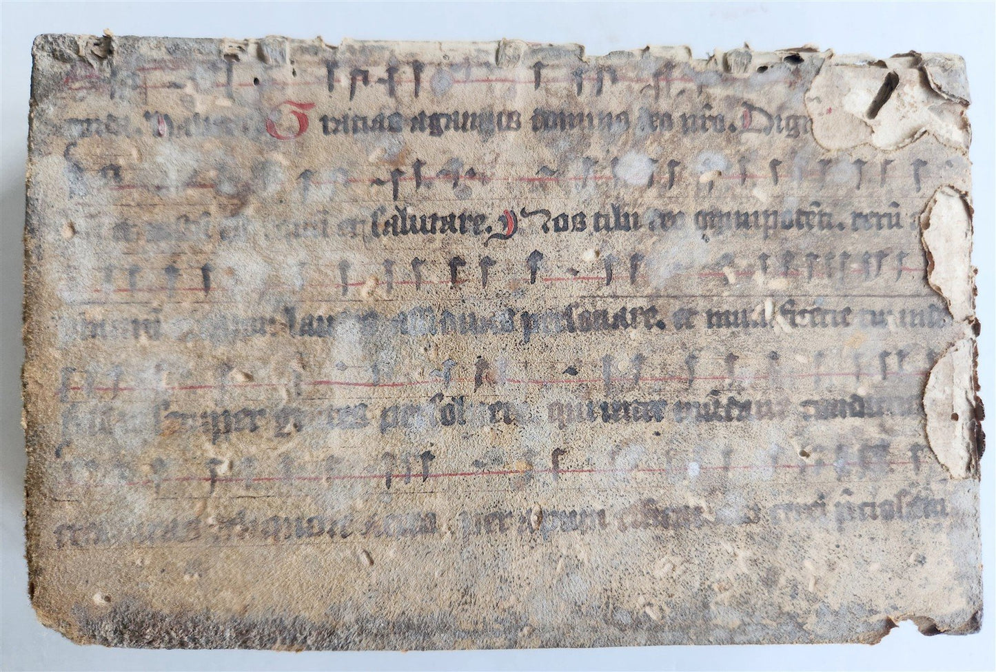 1598 COMEDIES of TERENCE ILLUSTRATED by AMMAN antique VELLUM MANUSCRIPT BINDING