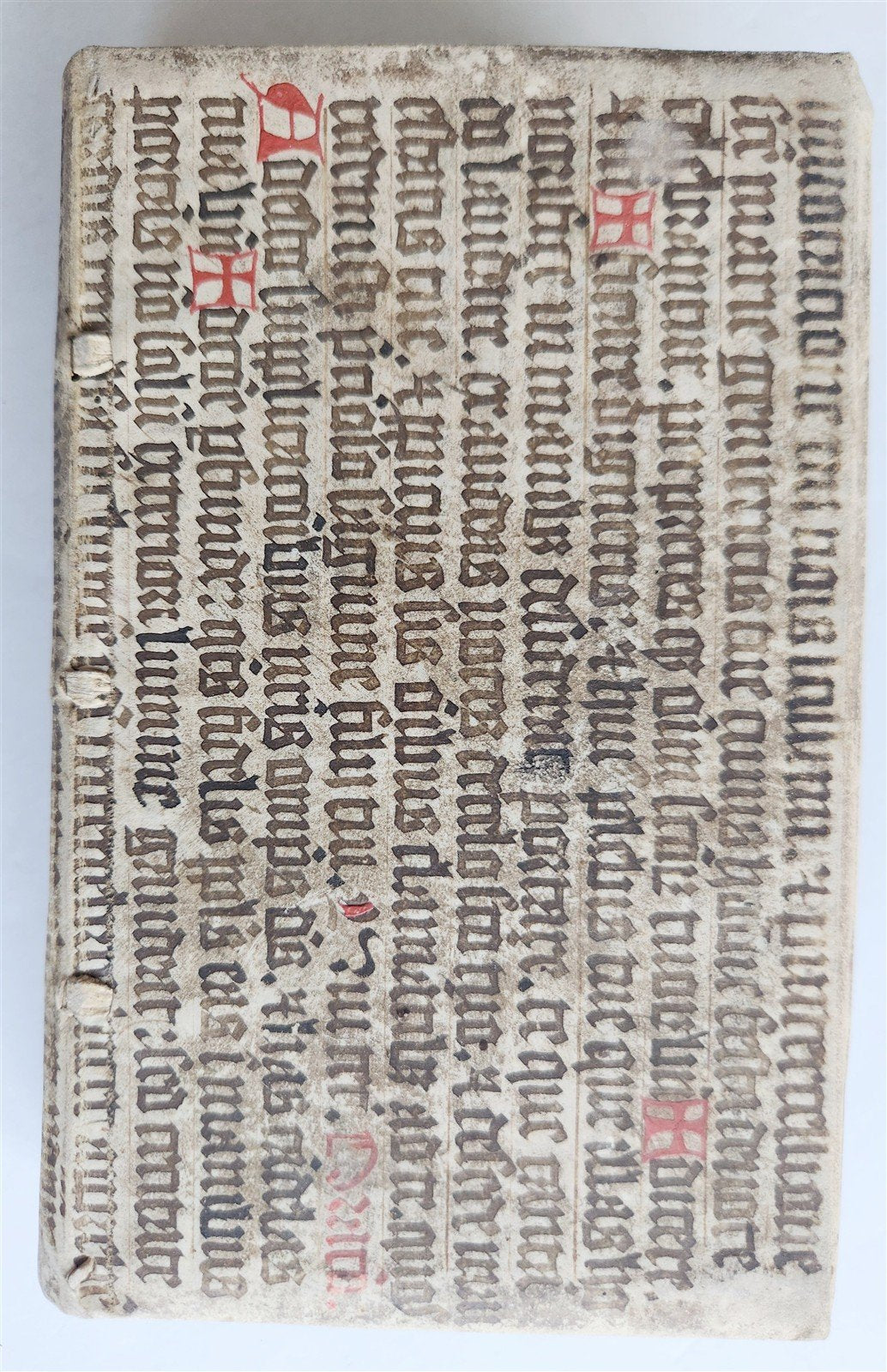 1598 COMEDIES of TERENCE ILLUSTRATED by AMMAN antique VELLUM MANUSCRIPT BINDING