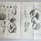 1764 EMBRYOLOGIA OBSTETRICS antique PIGSKIN BINDING w/ CLASPS