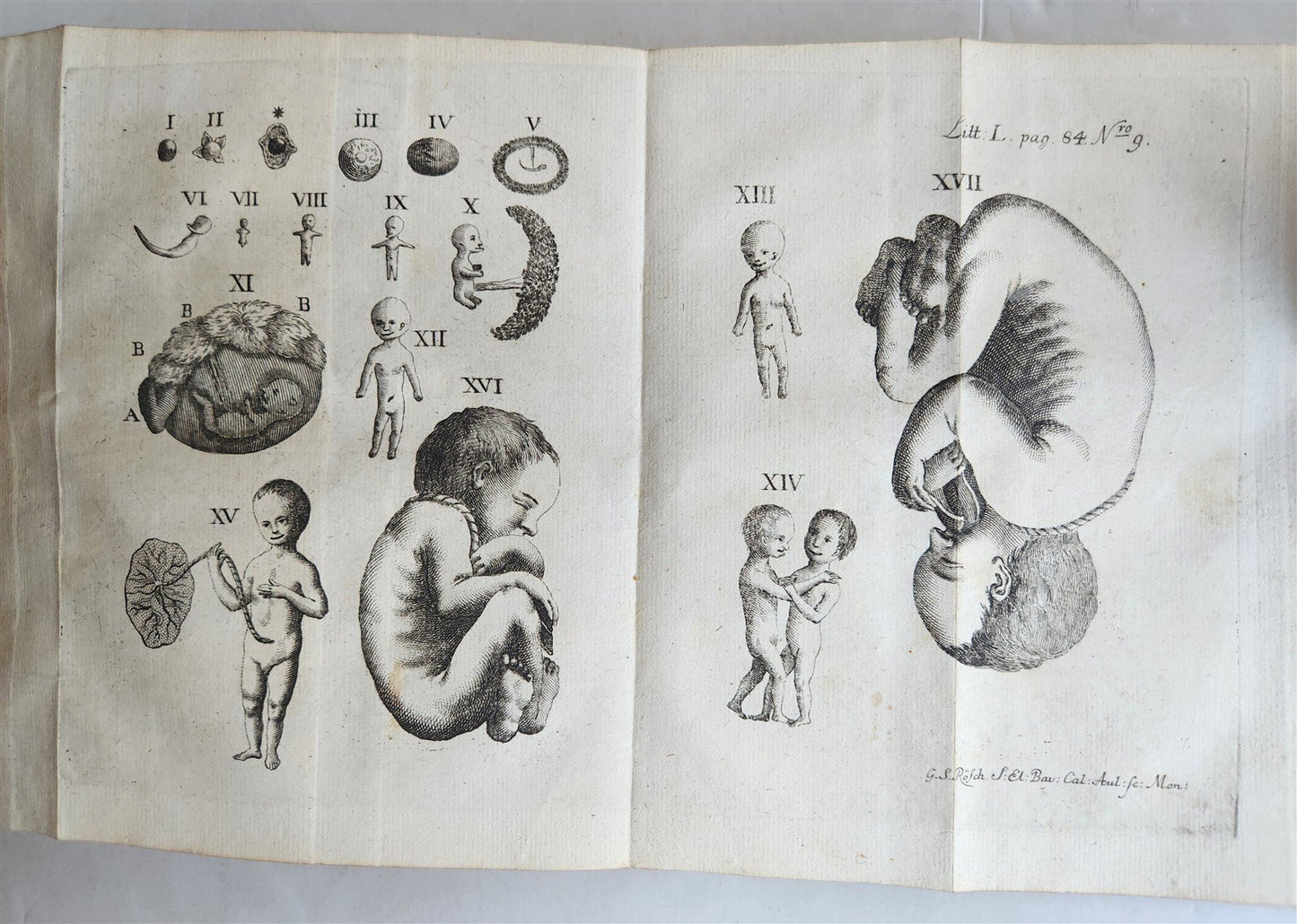 1764 EMBRYOLOGIA OBSTETRICS antique PIGSKIN BINDING w/ CLASPS
