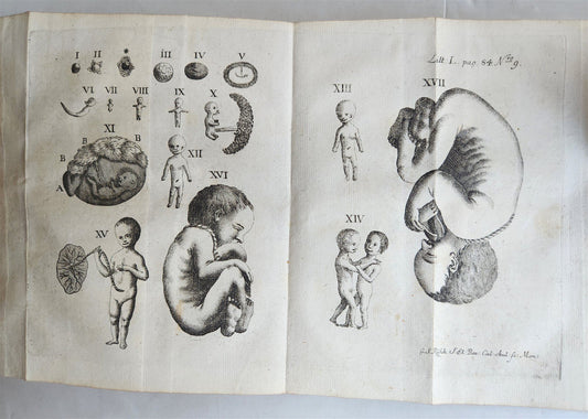 1764 EMBRYOLOGIA OBSTETRICS antique PIGSKIN BINDING w/ CLASPS