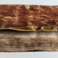 1591 LIFE of ST.LEOPOLD III ILLUSTRATED antique VELLUM BOUND 16th CENTURY