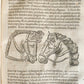 1671 TREATISE on the TRANSPORT of ANTIQUITY antique ILLUSTRATED vellum