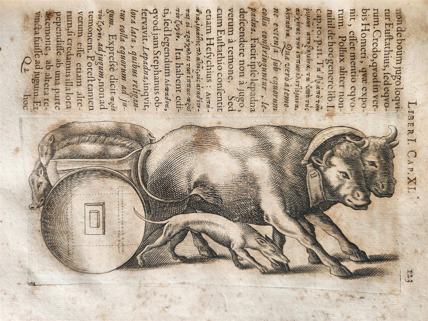 1671 TREATISE on the TRANSPORT of ANTIQUITY antique ILLUSTRATED vellum
