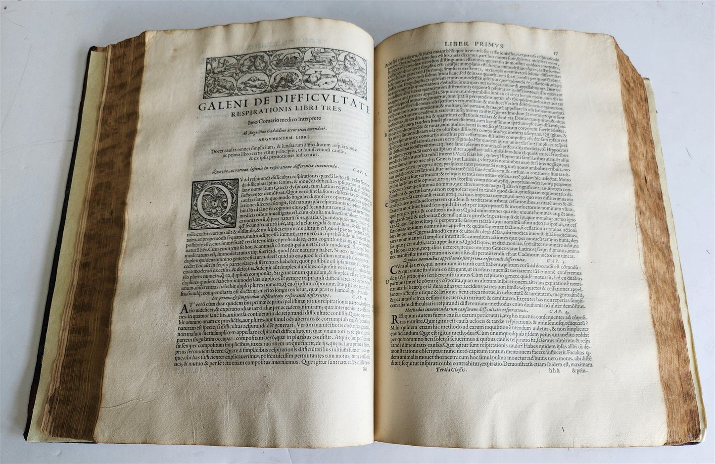 1586 GALEN WORKS GIUNTA PRESS antique 16th CENTURY THICK FOLIO medical treatise