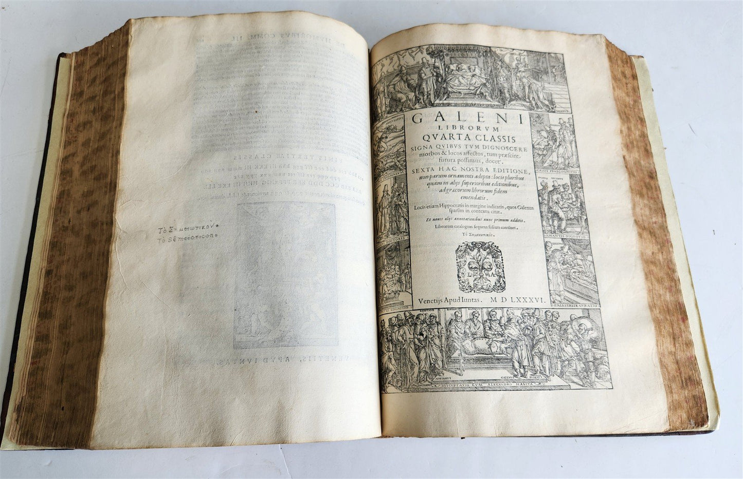 1586 GALEN WORKS GIUNTA PRESS antique 16th CENTURY THICK FOLIO medical treatise