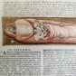1728 LIVES of ROMAN POPES by Anastasius Bibliothecarius VELLUM FOLIO antique