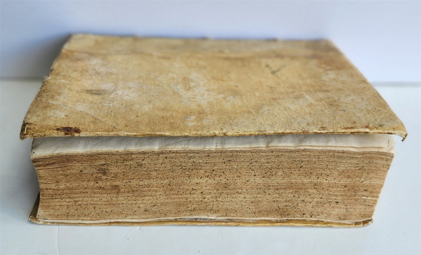 1572 ALDINE PRESS ROMAN HISTORY by TITUS LIVY antique 16th CENTURY VELLUM FOLIO
