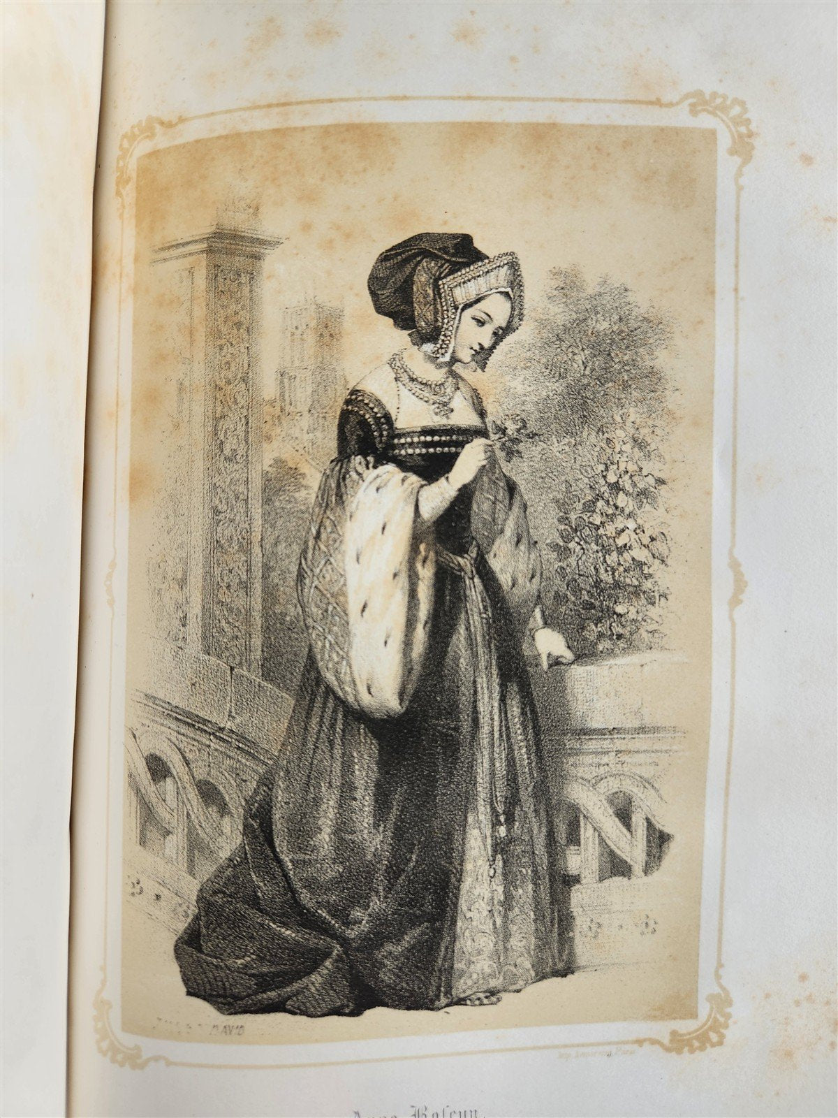 1851 QUEENS OF ENGLAND by by Madmoiselle A. Celliez ANTIQUE illustrated